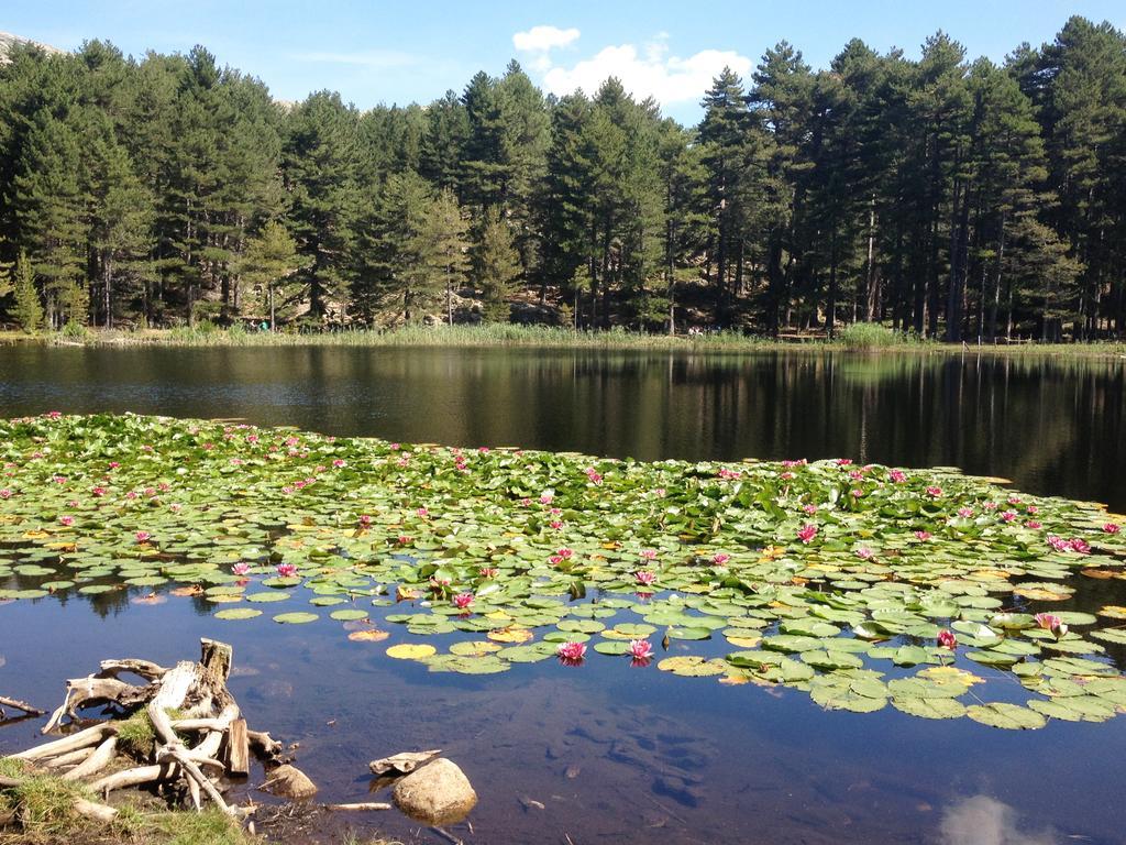 Camping Le Sagone Сагон Экстерьер фото